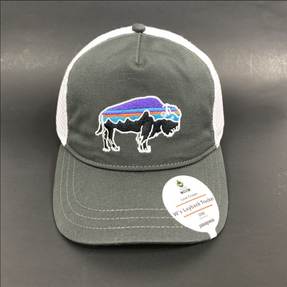 Patagonia W's Fitz Roy Bison Layback Trucker Hat